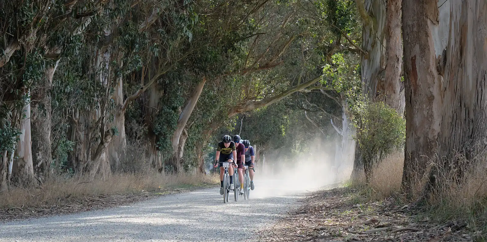 Puketapu Gravel 'n' Tar – Photo: © David Sutton Photography