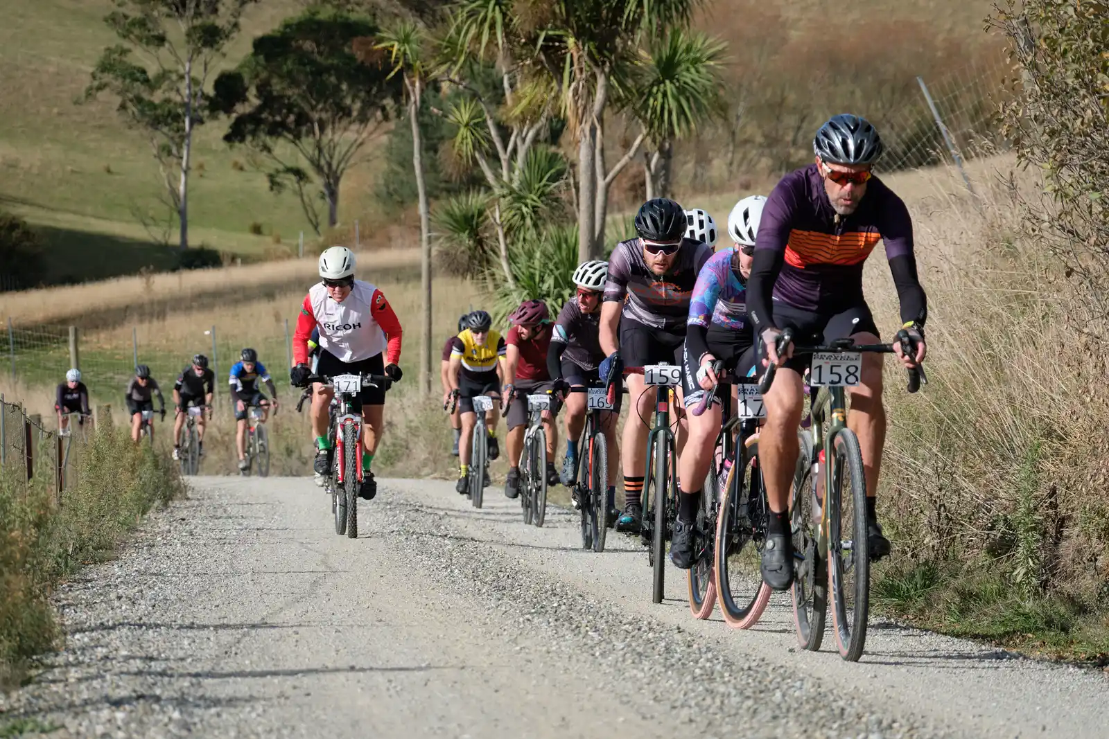 Puketapu Gravel 'n' Tar